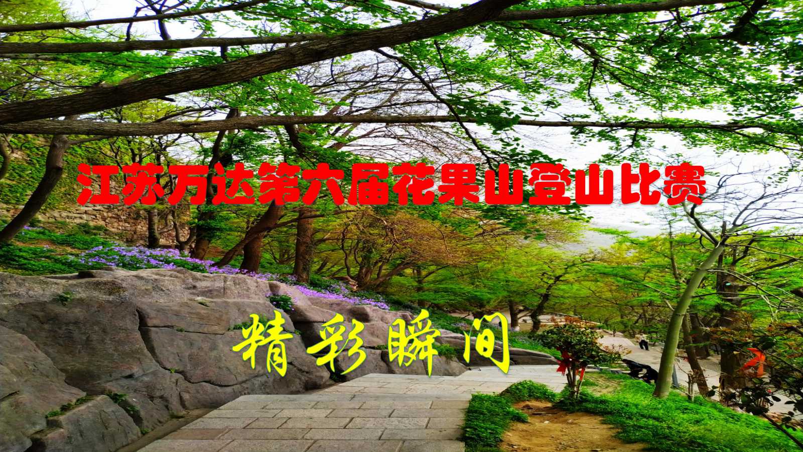 澳门三十六码期期中