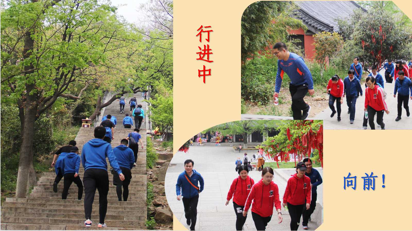 澳门三十六码期期中