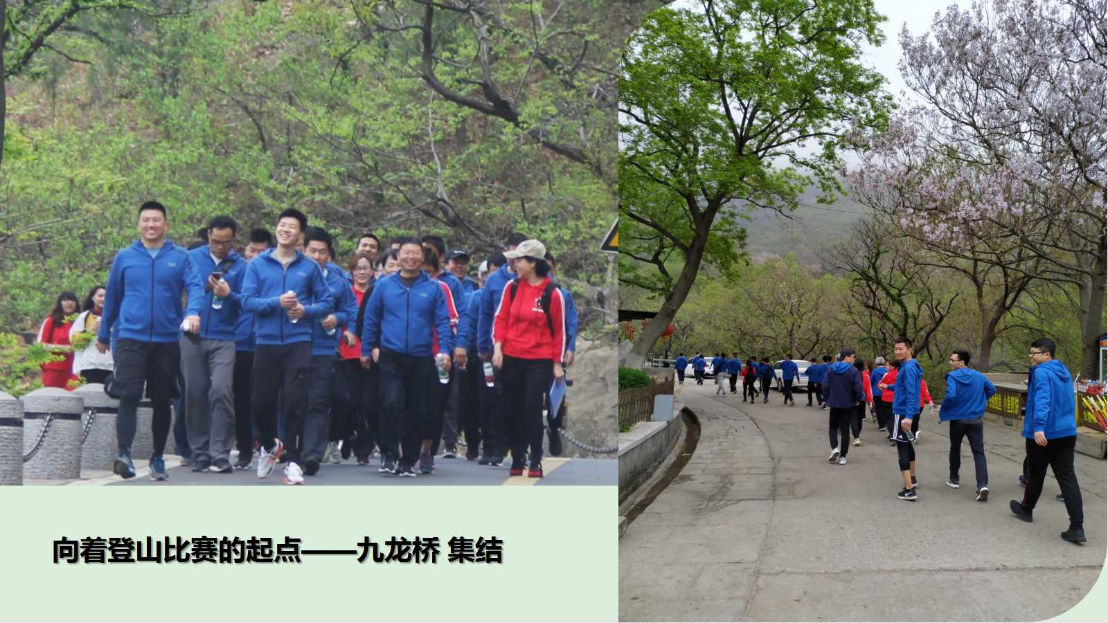 澳门三十六码期期中