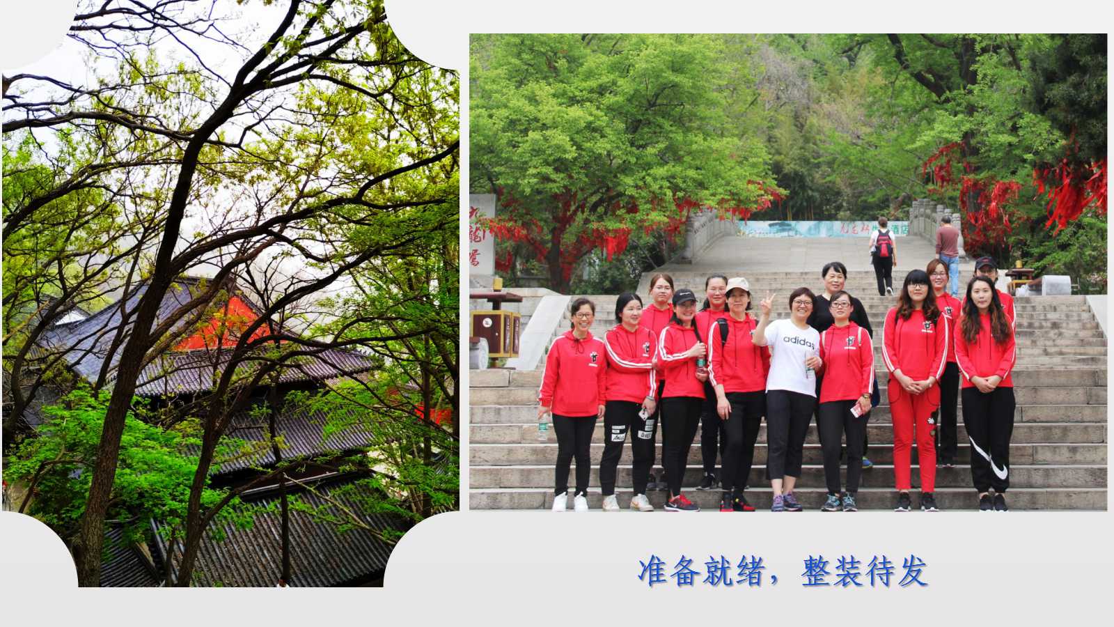 澳门三十六码期期中