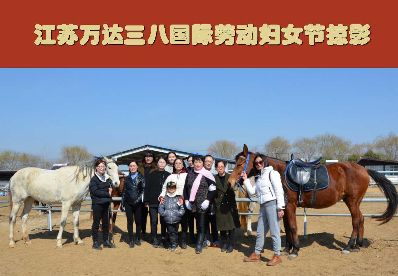 澳门三十六码期期中