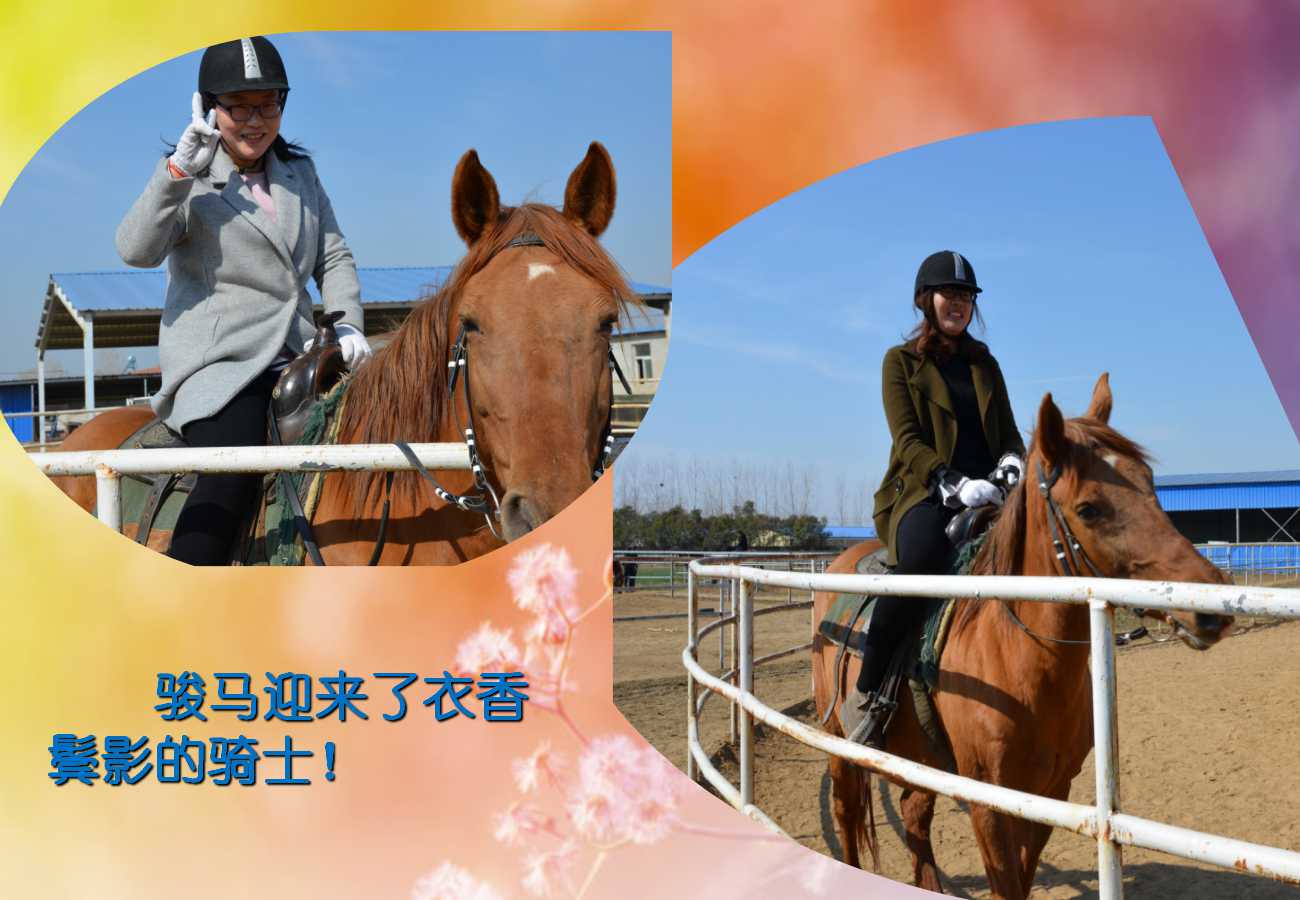 澳门三十六码期期中