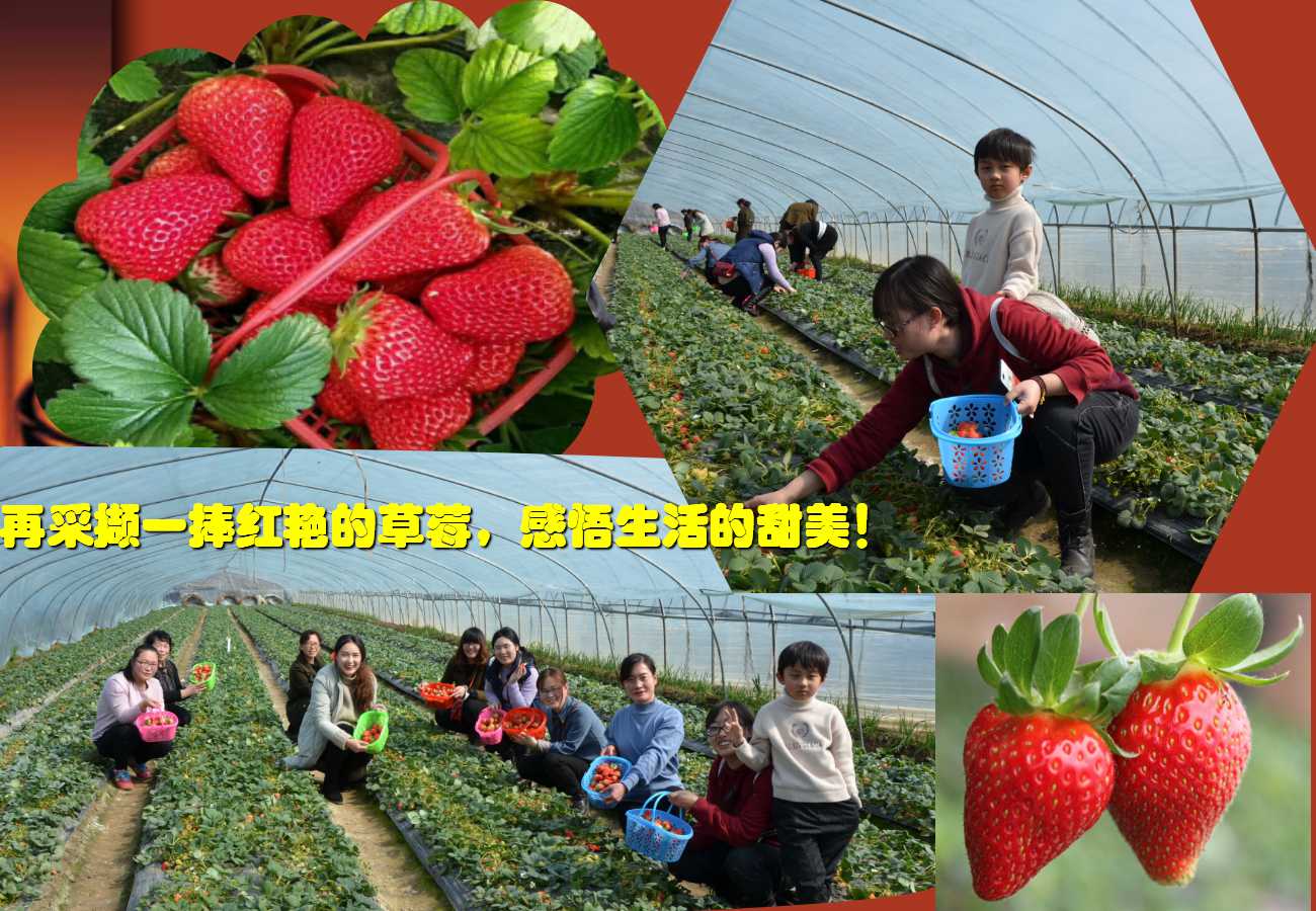 澳门三十六码期期中