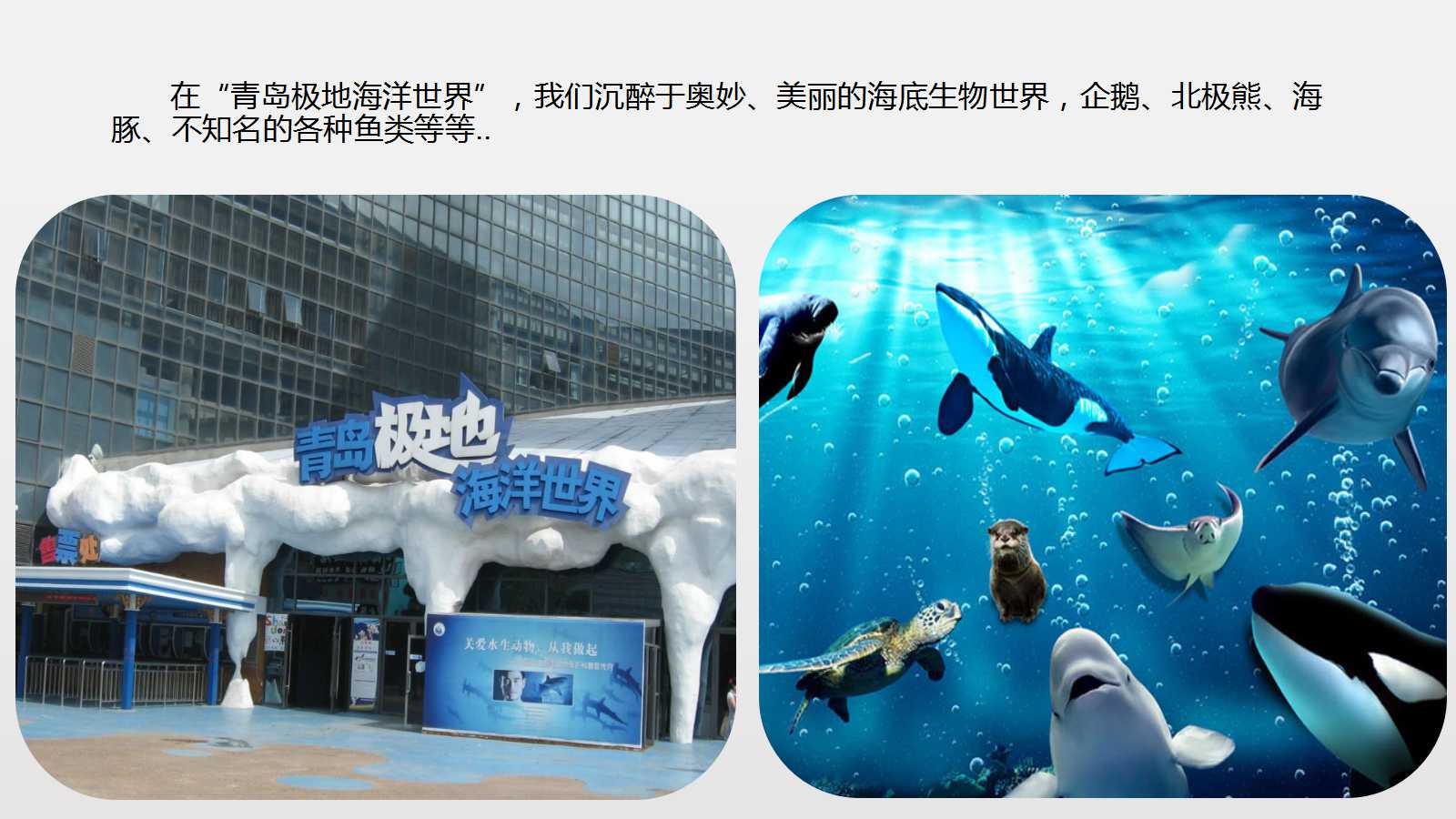 澳门三十六码期期中