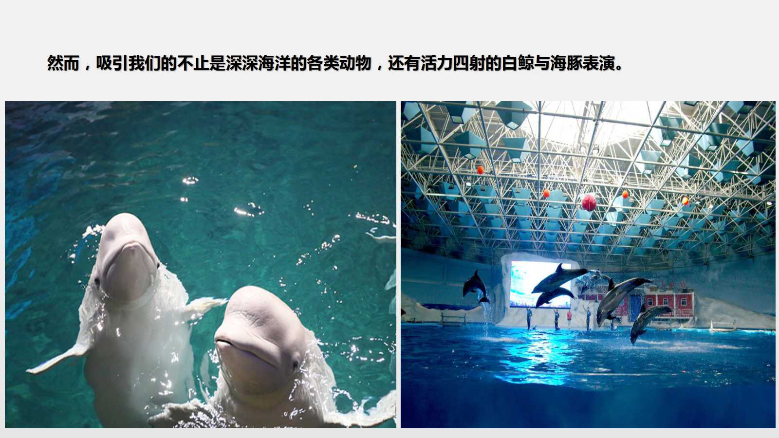 澳门三十六码期期中