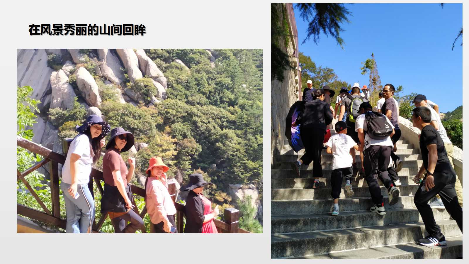 澳门三十六码期期中