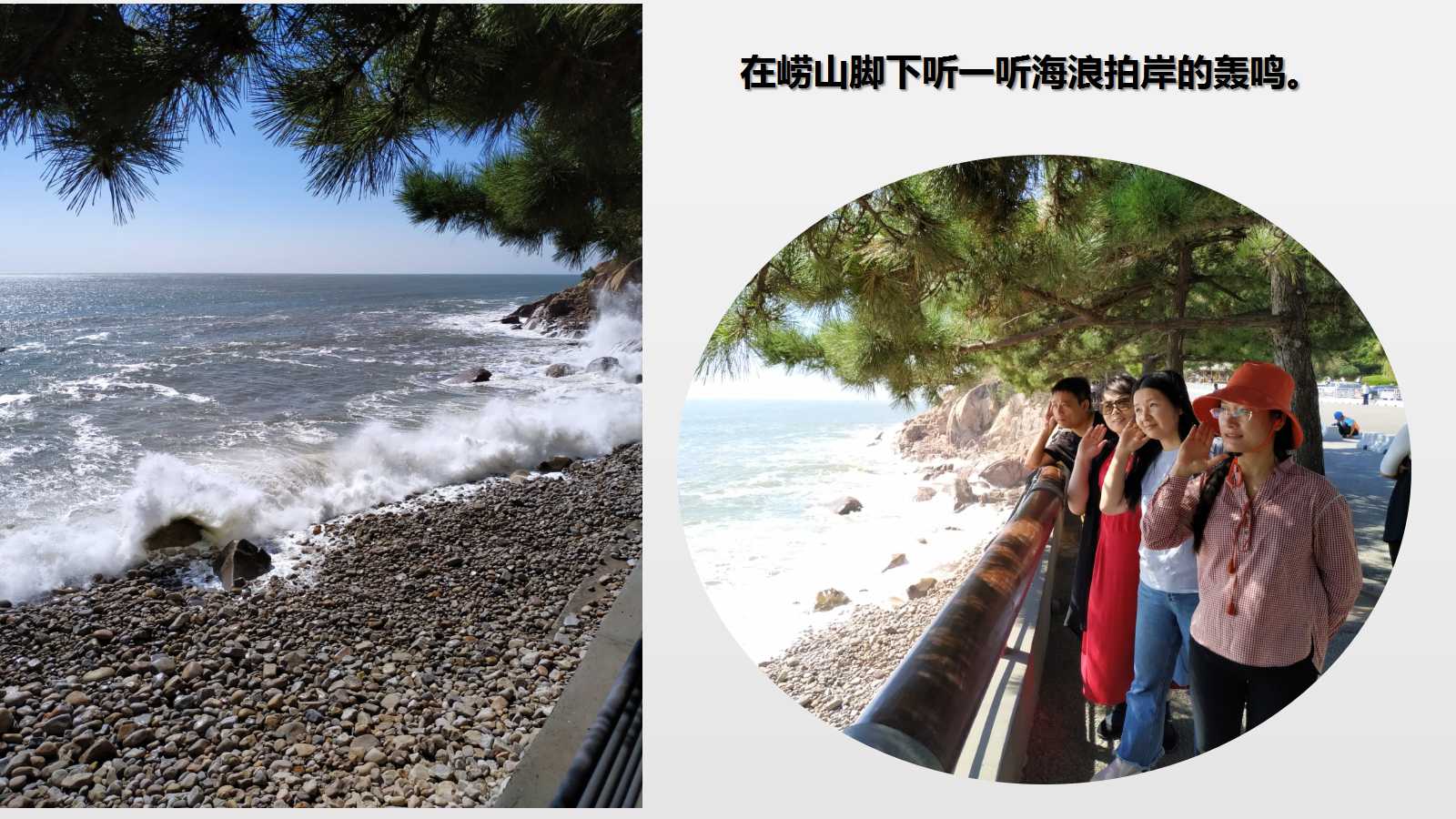 澳门三十六码期期中