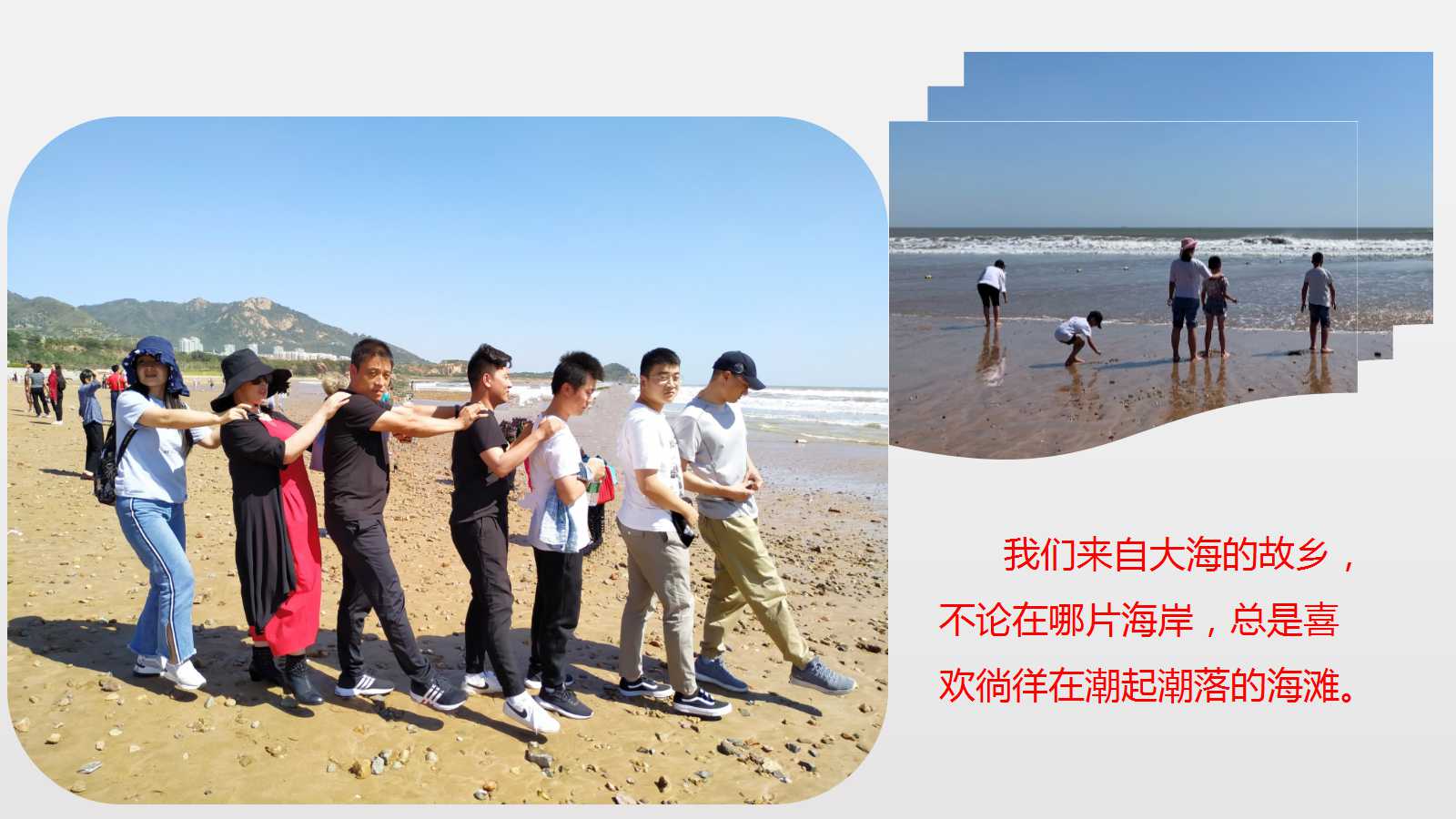 澳门三十六码期期中
