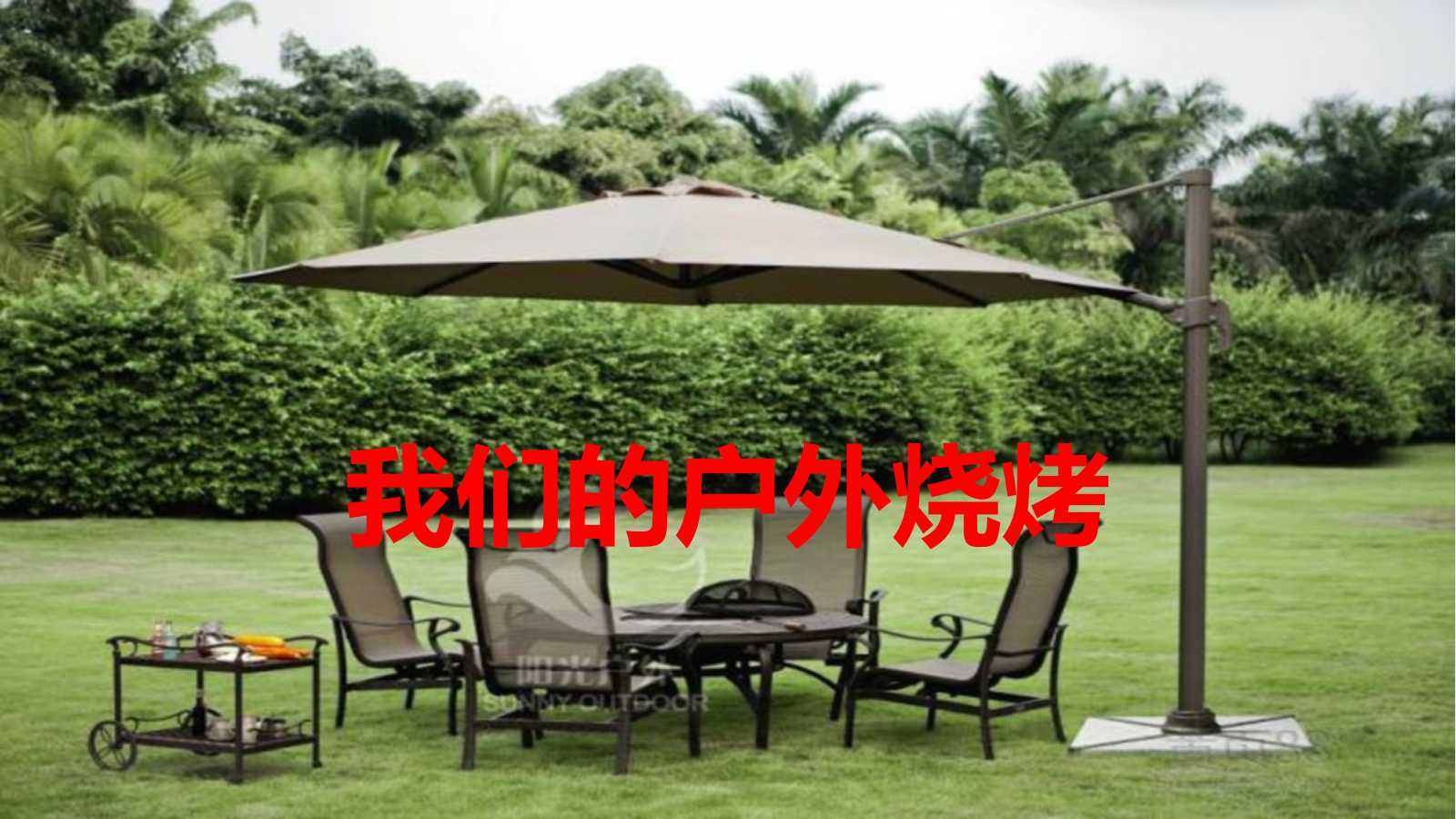 澳门三十六码期期中