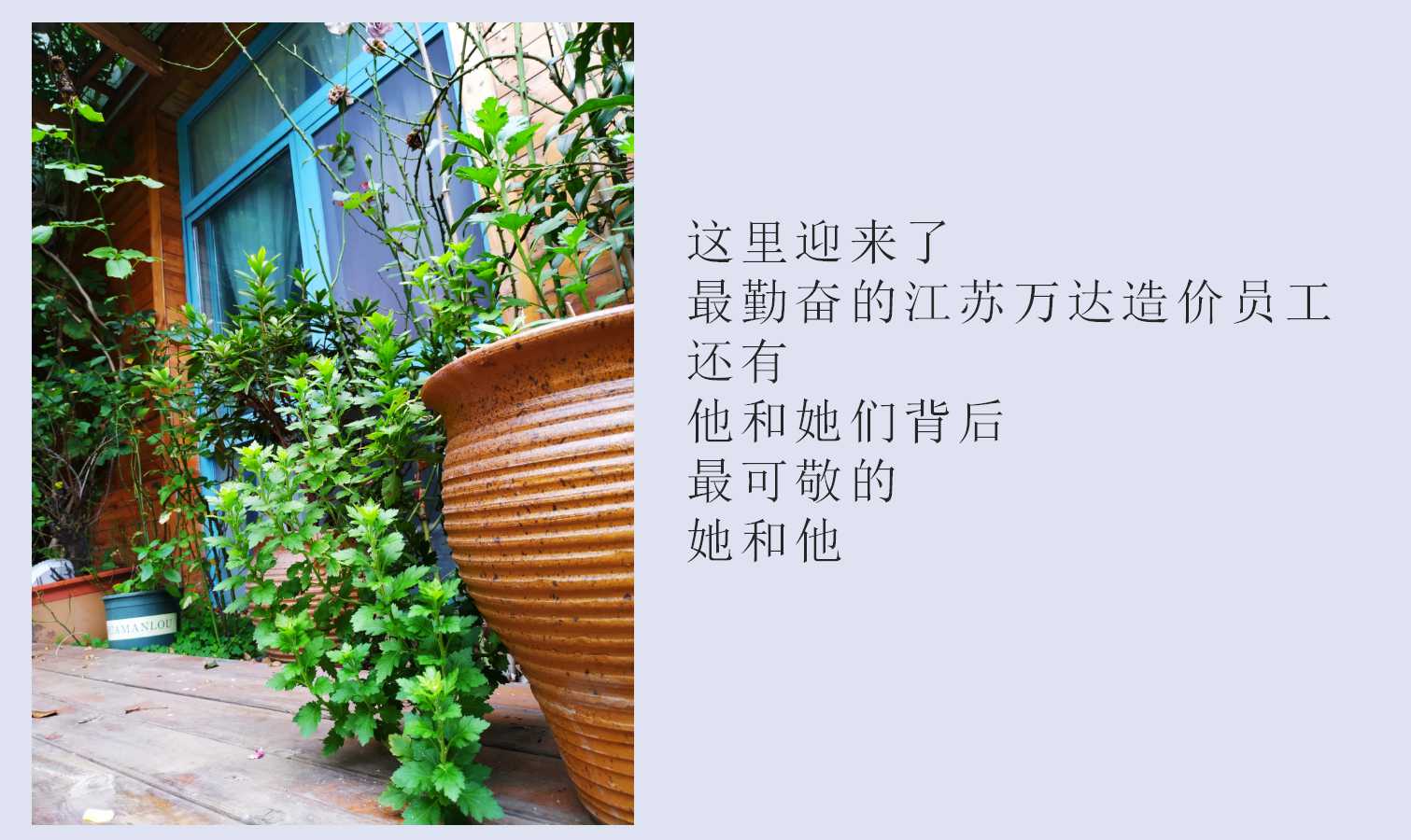 澳门三十六码期期中