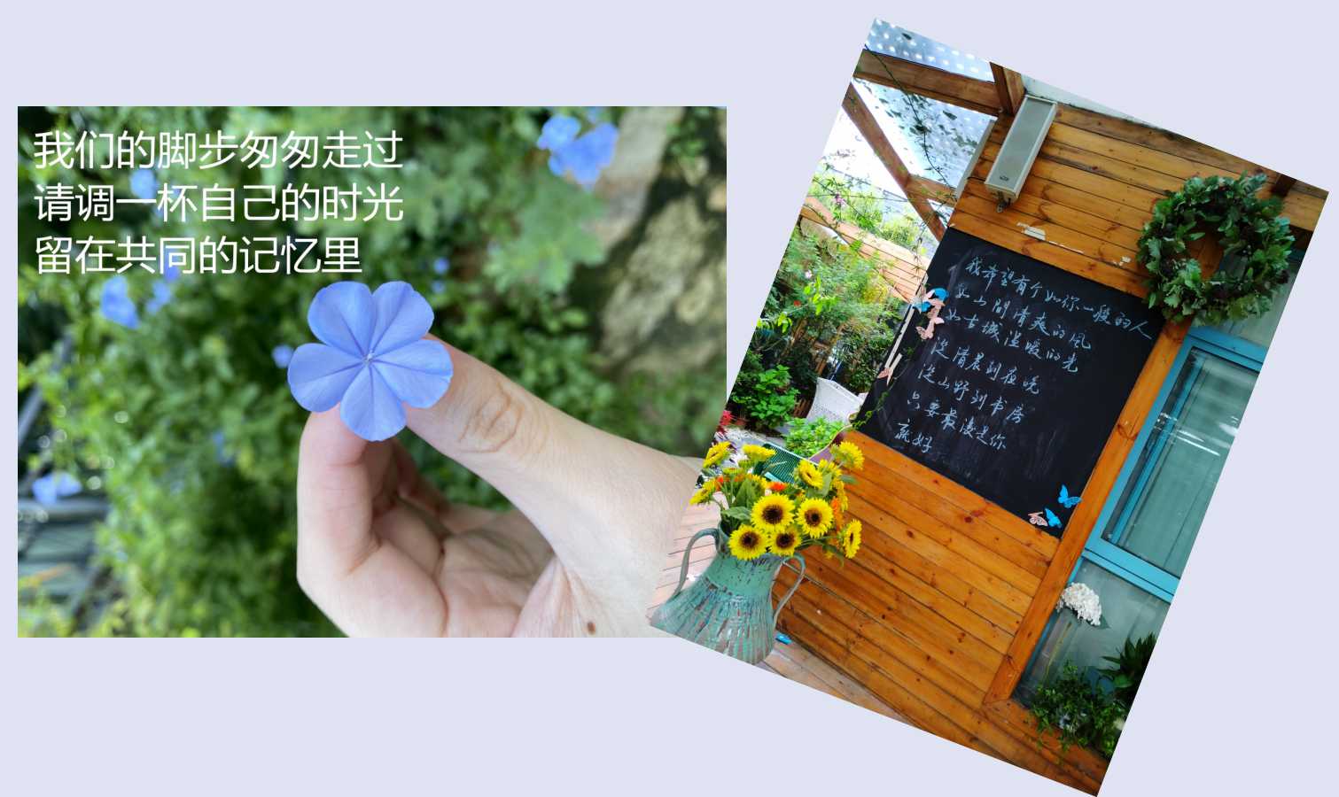 澳门三十六码期期中
