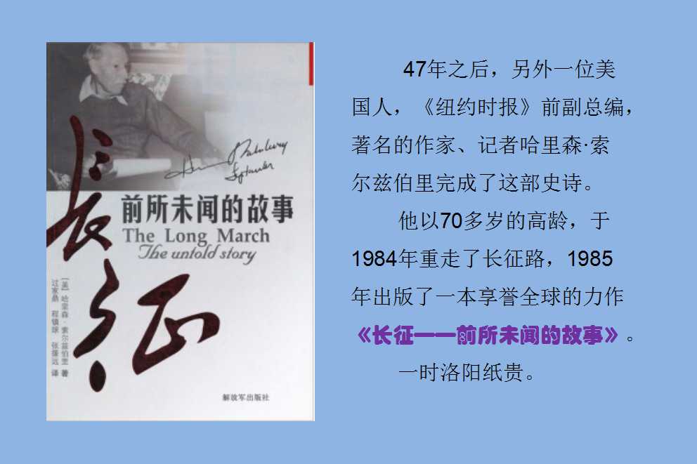 澳门三十六码期期中
