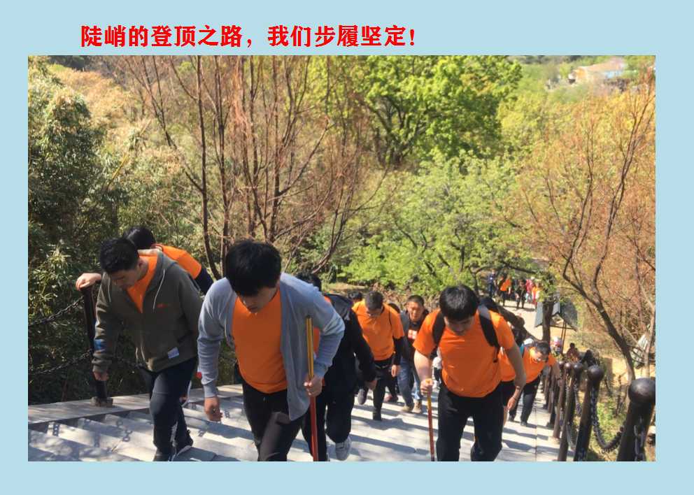 澳门三十六码期期中